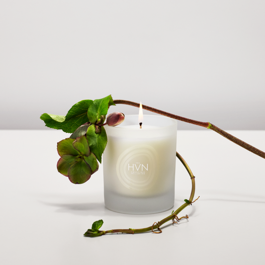 The HVN Forest Bathing Candle